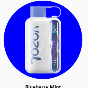 Vozol Star 40000 Blueberry Mint