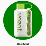 Vozol Star 40000 Cool Mint