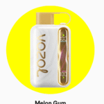 Vozol Star 40000 Melon Gum