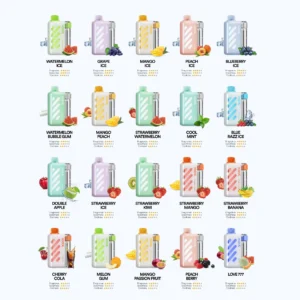 Vozol Vista 40000, Vozol 40000 Vista, Vozol Vista 40.000